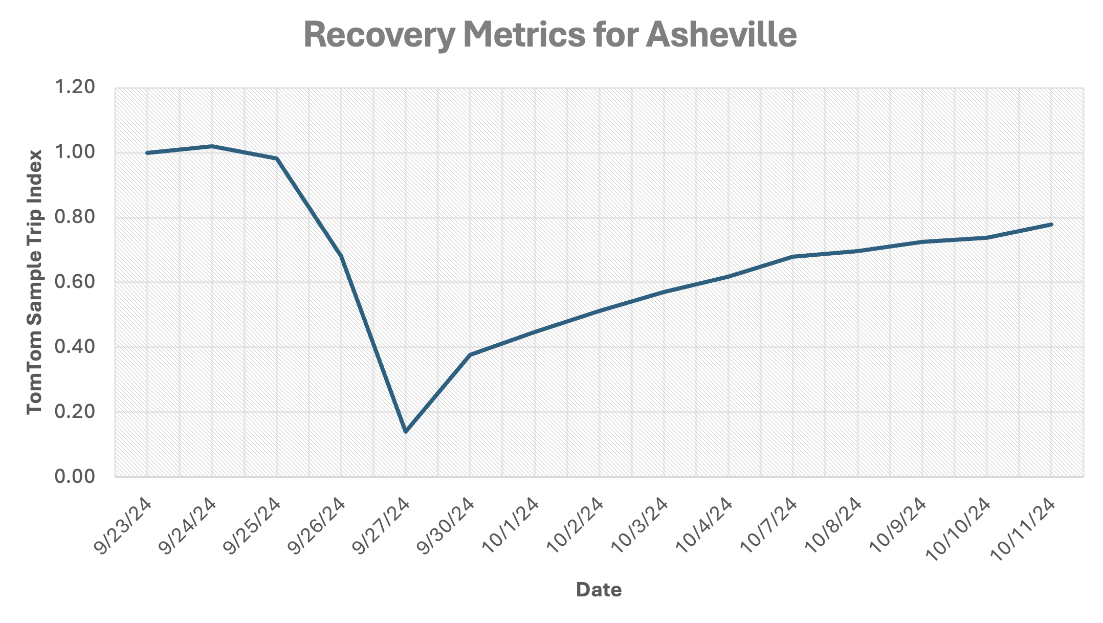 Asheville Recovery Metrics